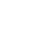 a11
